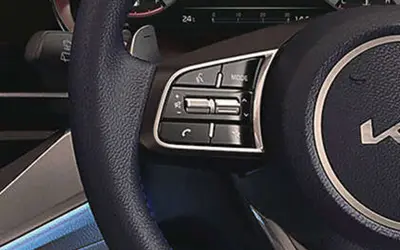 Kia Carens steering wheel and instrument cluster close-up