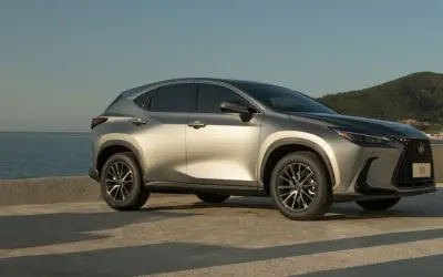 Lexus NX rear three-quarter view on a coastal terrace