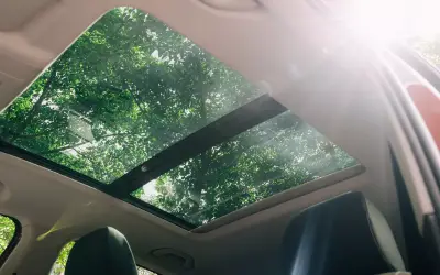Volkswagen Taigun interior - electric sunroof seen from the cabin with trees above